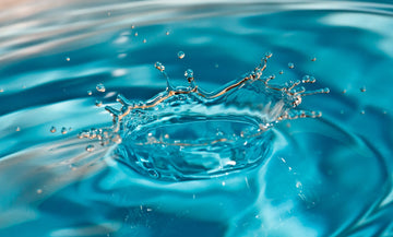 The Fourth Phase of Water And Why It Changes Everything About Homeopathy