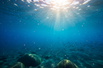 The Ocean in a Vial — How I Made a Remedy from the Sea