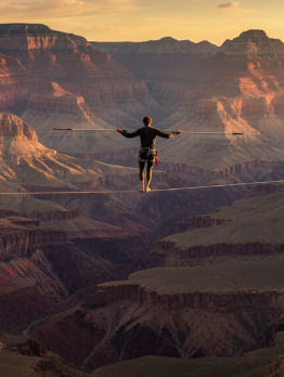 Part 4. Compensation in Homeopathy – How to Grasp a Compensated Case  (Continued)