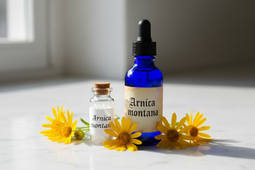 Beyond the Bruise: The Lesser-Known Uses of Arnica montana
